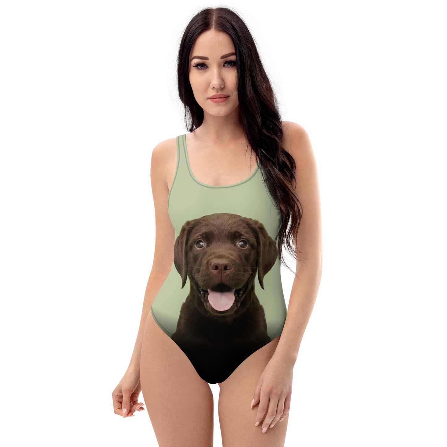 Chocolate Labrador Retriever Puppy Women's One-Piece Swimsuit (Pastel Sage)