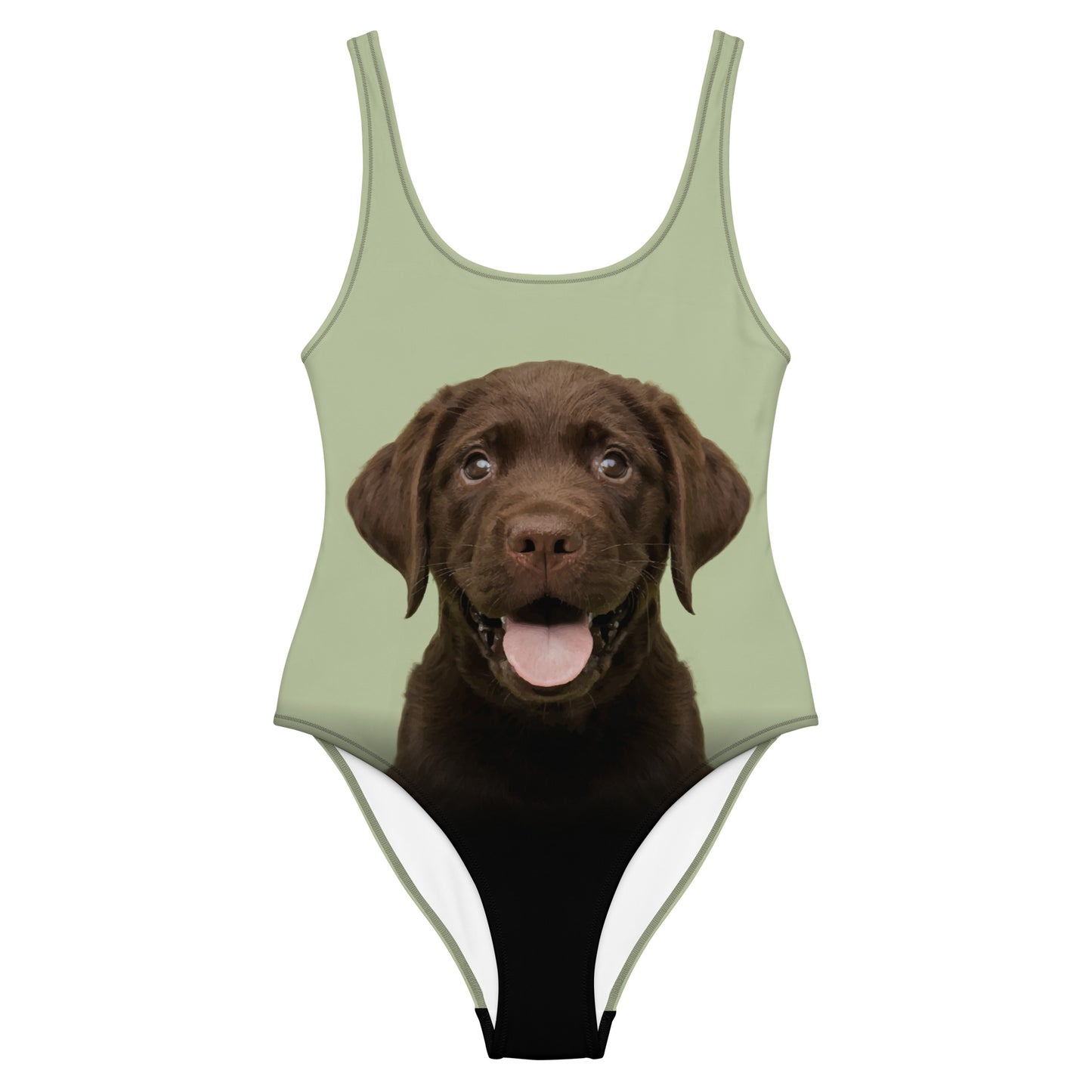 Chocolate Labrador Retriever Puppy Women's One-Piece Swimsuit (Pastel Sage)
