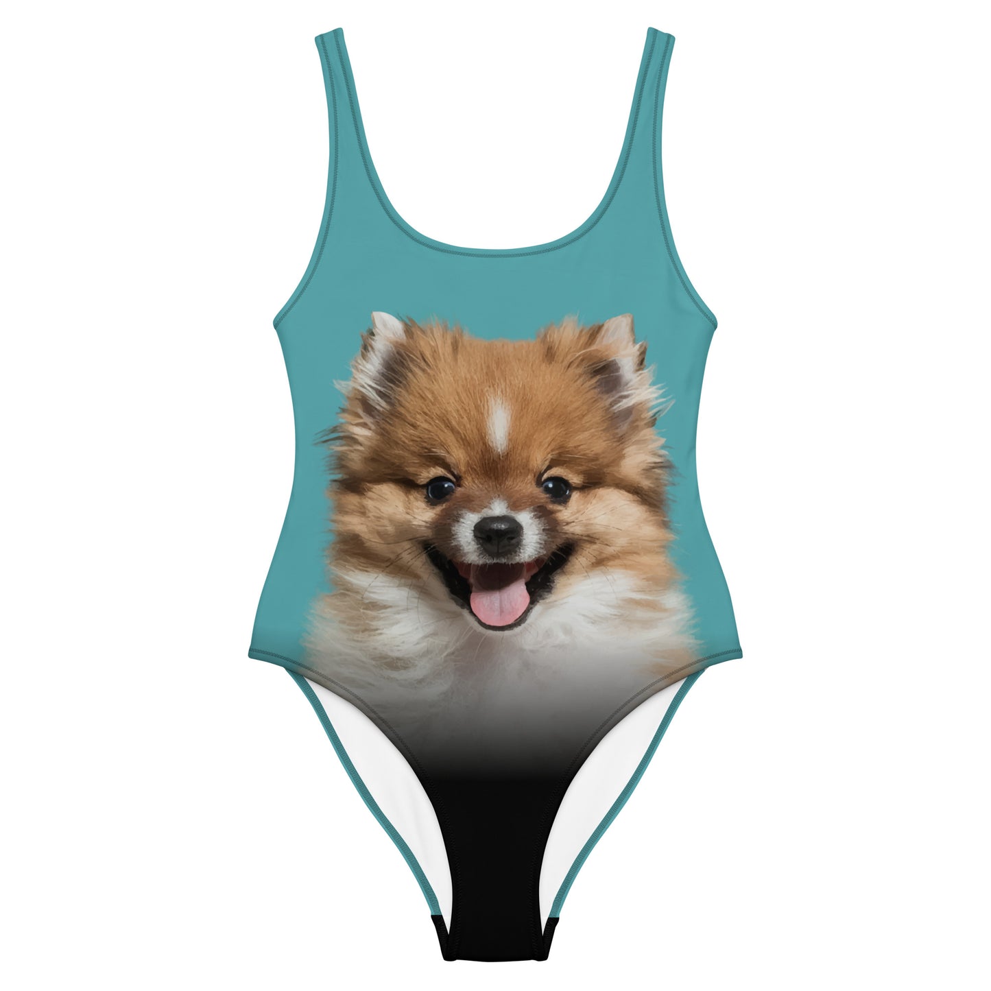 Pomeranian Puppy Women's One-Piece Swimsuit (Atoll Aqua)