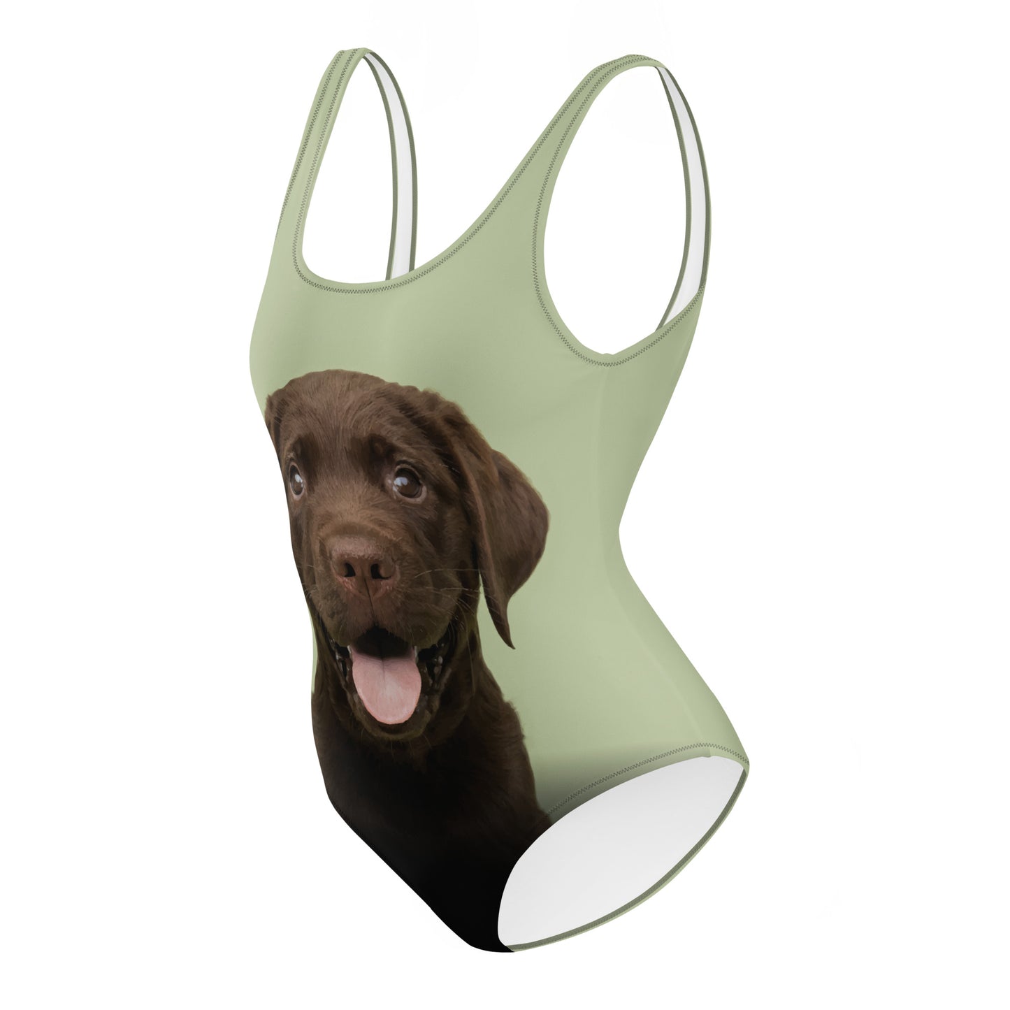 Chocolate Labrador Retriever Puppy Women's One-Piece Swimsuit (Pastel Sage)